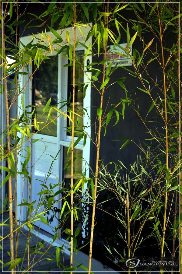 Sangiovese Cabañas Villa San Rafael  Exterior foto